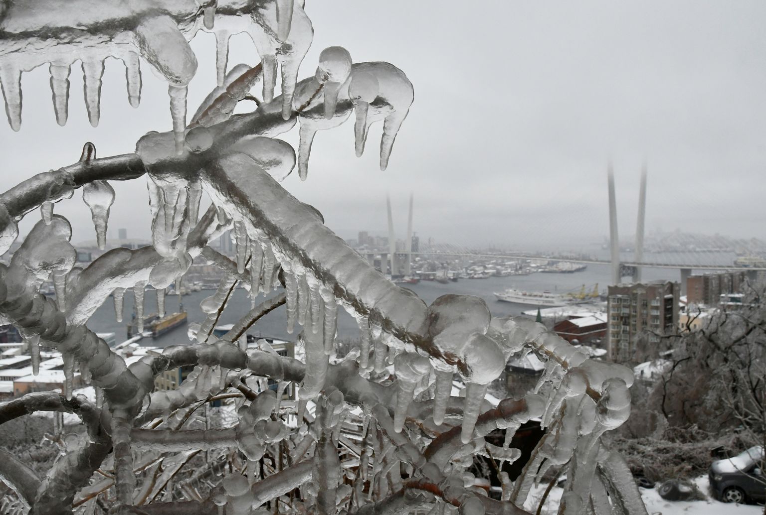 Ледяной шторм во Владивостоке 2020