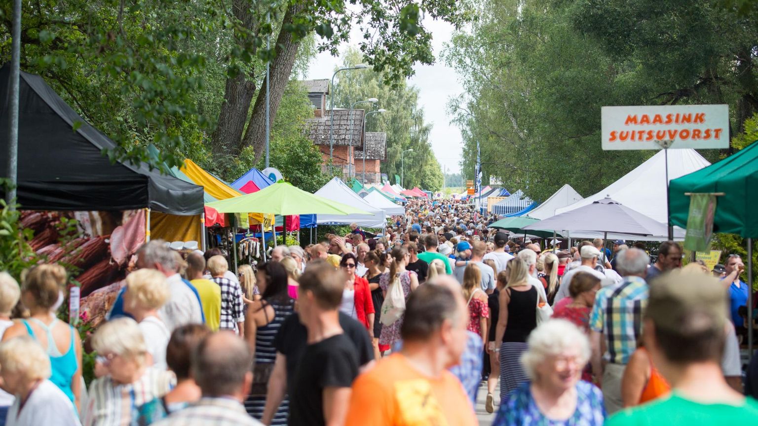 Laadamelu Jänedal.