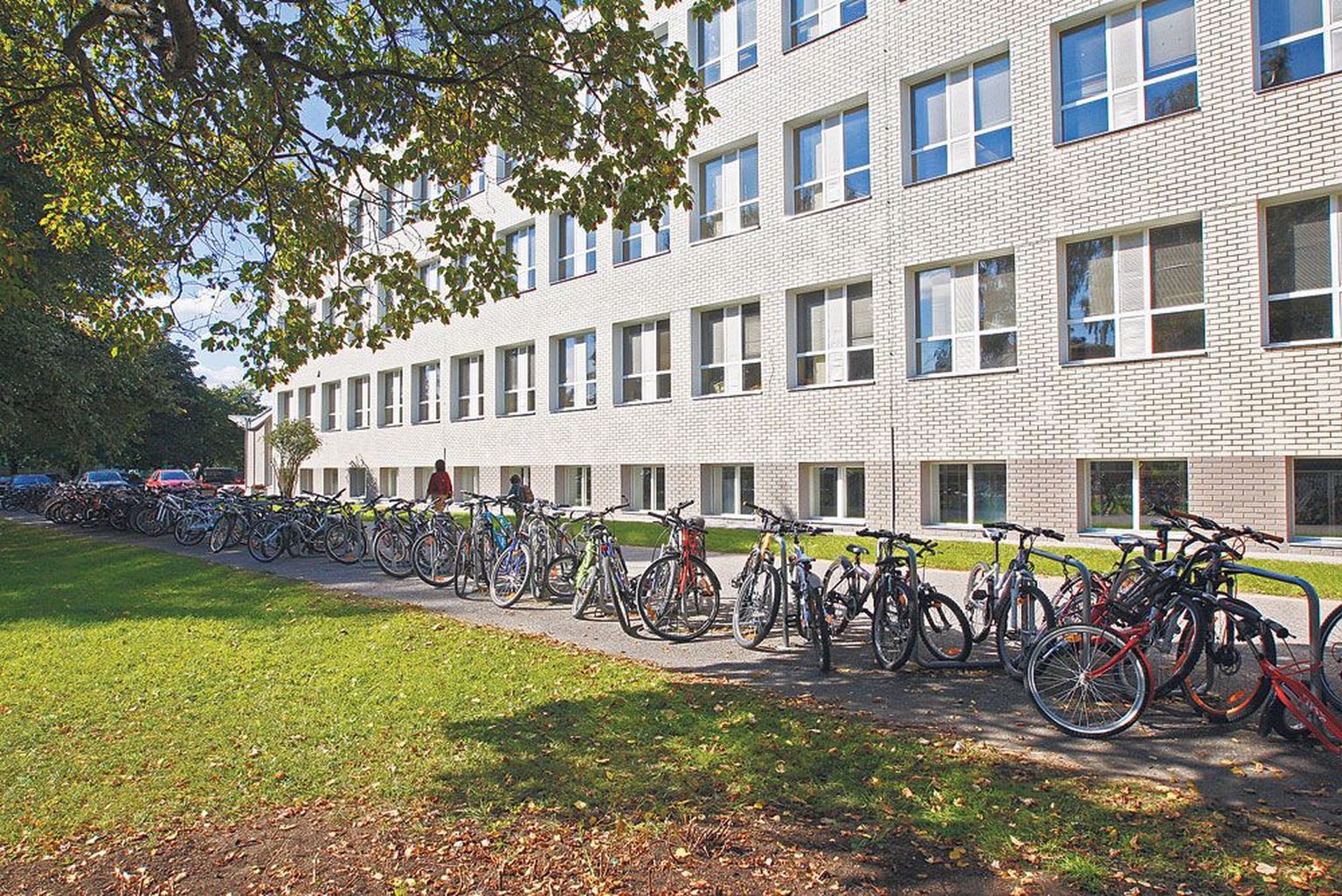 Eilne foto Tartu Tamme gümnaasiumi juurest kinnitab, et jalgratas on selle kooli õpilaste seas üsna popp.