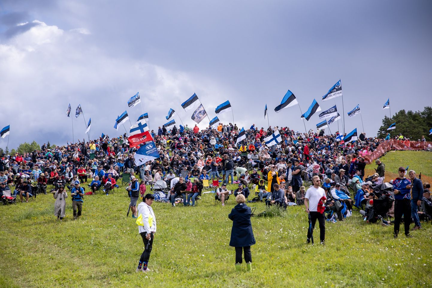 Eesti lipud ja pealtvaatajad Rally Estonia Kambja punktikatsel.