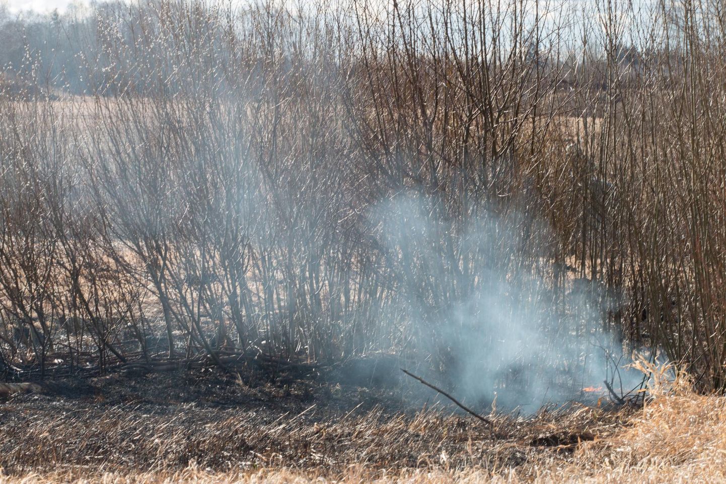 Hooletu lõkkepõletamine Porsa külas päädis laiaulatusliku põlenguga. Pilt on illustratiivne.