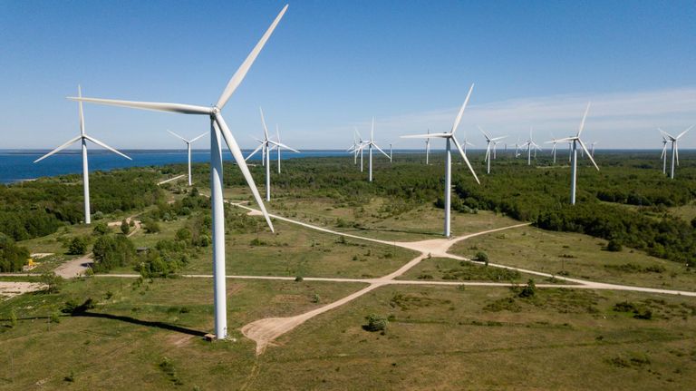 Enefit Greenile kuuluv Pakri tuulepark. Taastuvenergia toodang kasvas möödunud aastal 2,2 teravatt-tunnini ja moodustas Eesti elektritoodangust 46,3 protsenti.