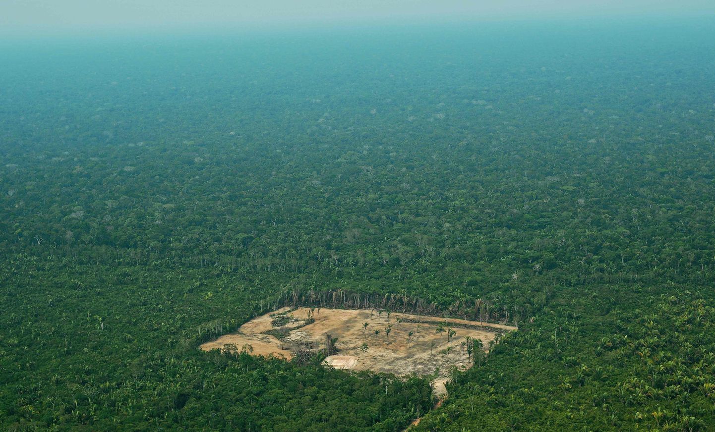 Metsatustatud ala Brasiilia Lääne-Amazonase piirkonnas sellel 2017. aasta septembrist pärineval aerofotol.