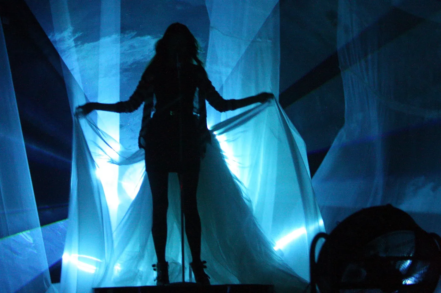 EMA gaala 2012 glamuurne VIP publik  
Selline nägi välja Eda-Inese "imeline" kleit