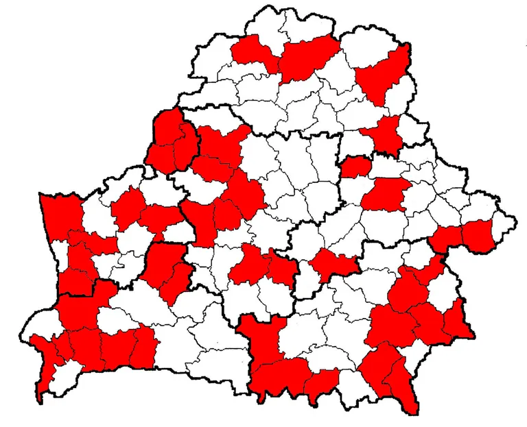 Фото статьи