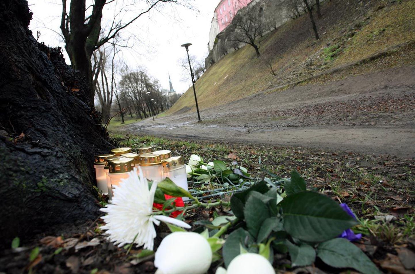 Ilmaennustaja Krista Odakivi mõrvapaik Tallinnas, Toompea nõlva jalgrajal mullu novembris.