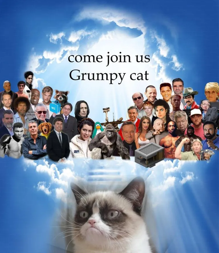 Grumpy Cat hüvastijätu meme