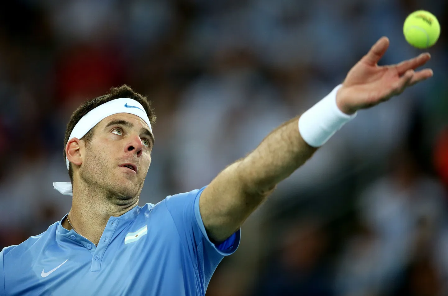 Juan Martin Del Potro.