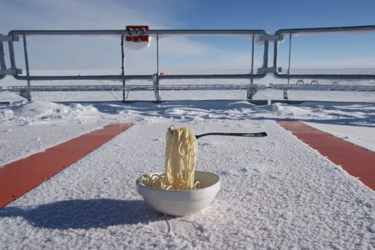 Nuudlikatse Antarktika Concordia uurimisjaamas