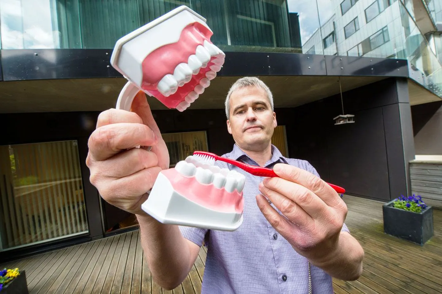 Hambaarst Marek Vink rõhutas, et hammaste tervist mõjutab igasugune toidukord ja mida harvem süüakse, seda parem hammastele, ning vajalik on hammaste pidev ja õigeaegne harjamine.