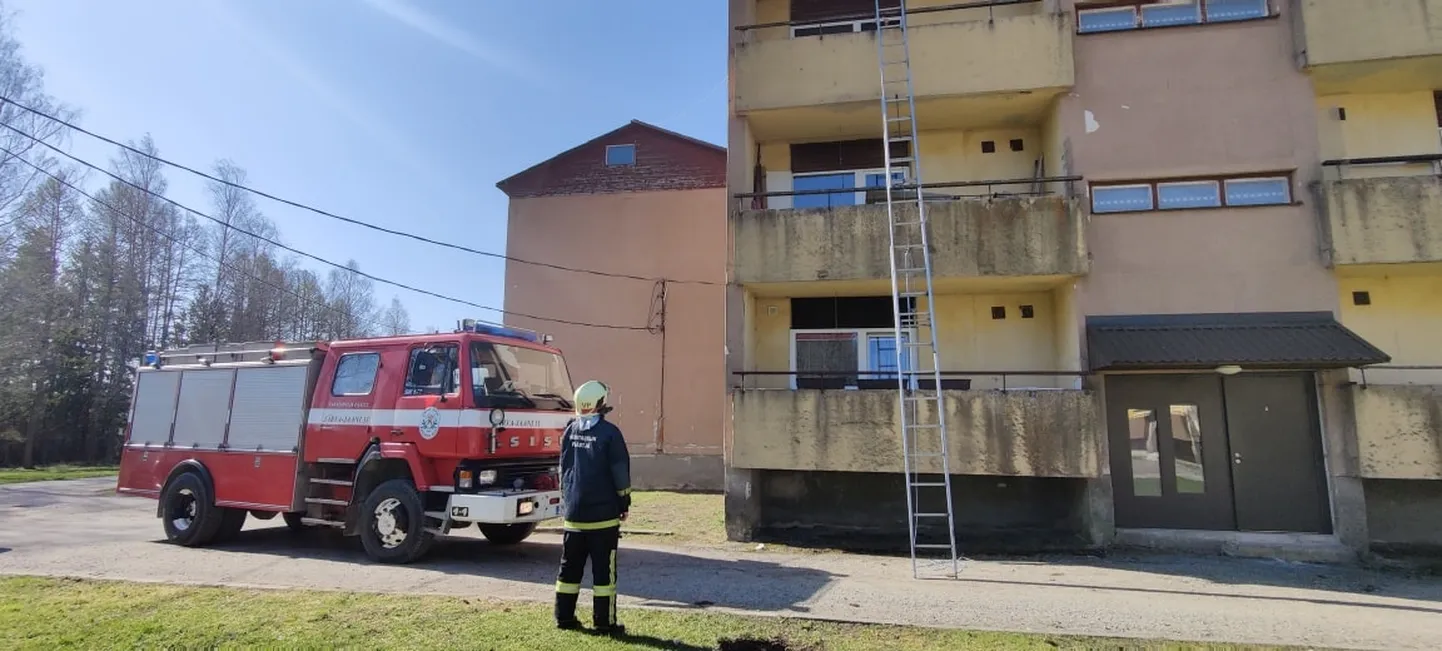 Artikli foto