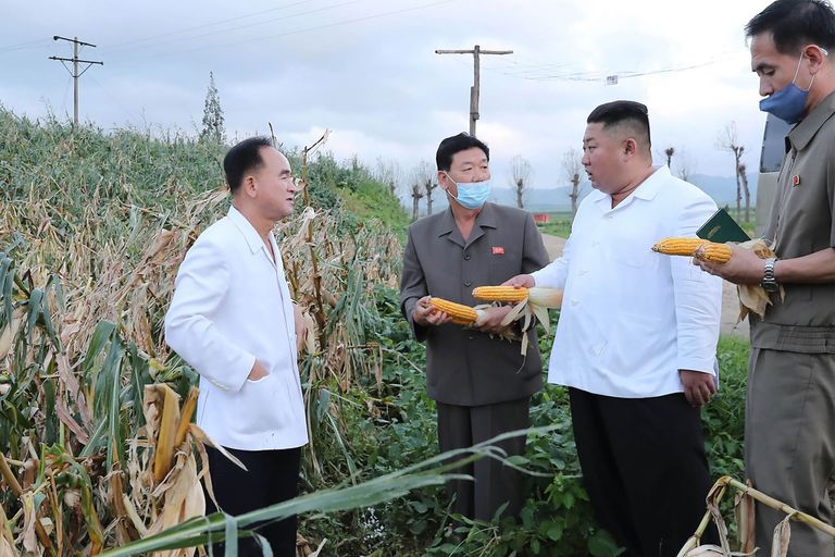 Põhja-Korea uudisteagentuur KCNA avaldas fotod, millel Kim Jong-uni on näha taimekasvatusfarmis