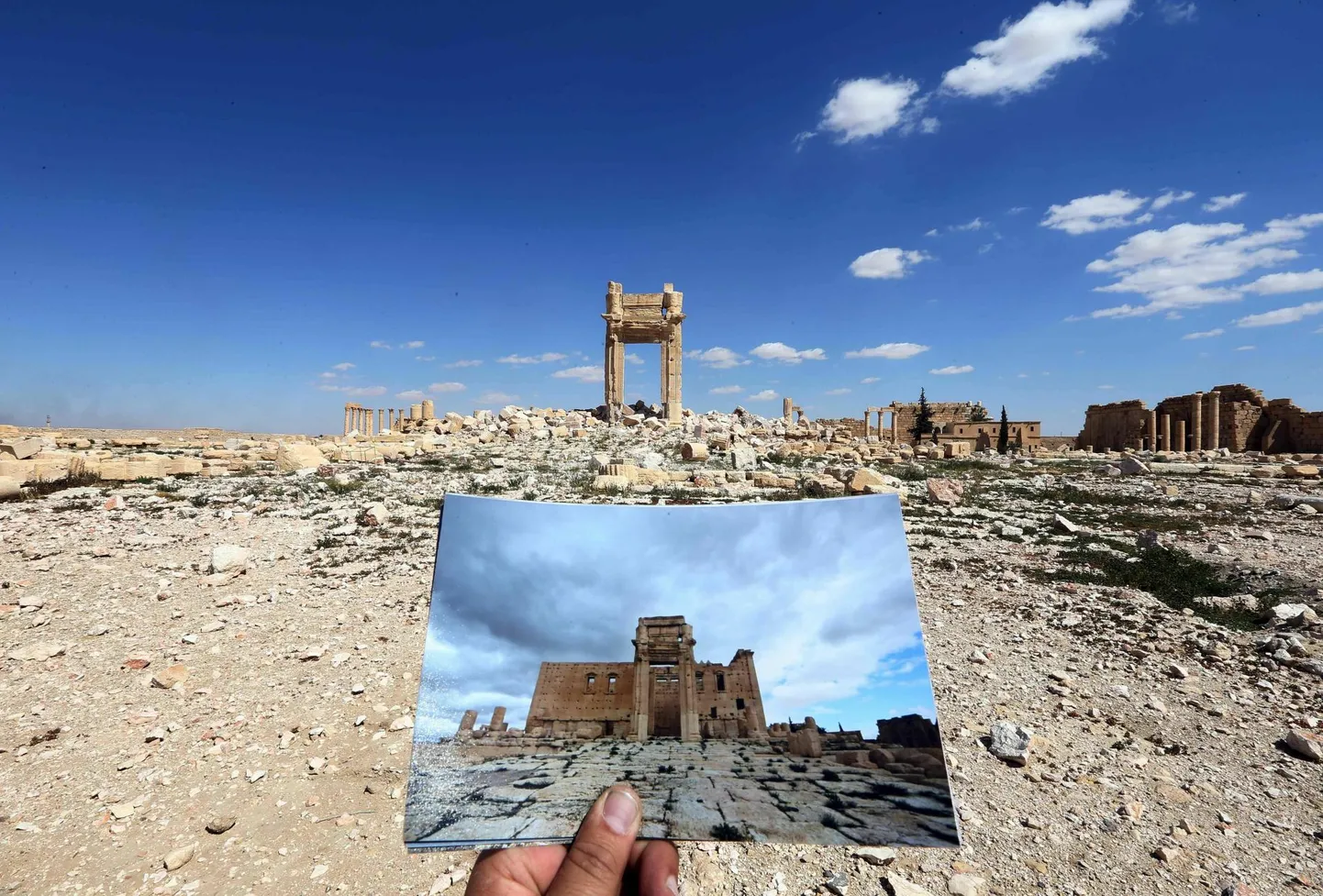 Fotograaf hoiab käes Palmyra Beli templist 2014. aastal jäädvustatud fotot. Nii näeb see koht välja kaks aastat hiljem, kui ISIS on Palmyrast üle käinud.