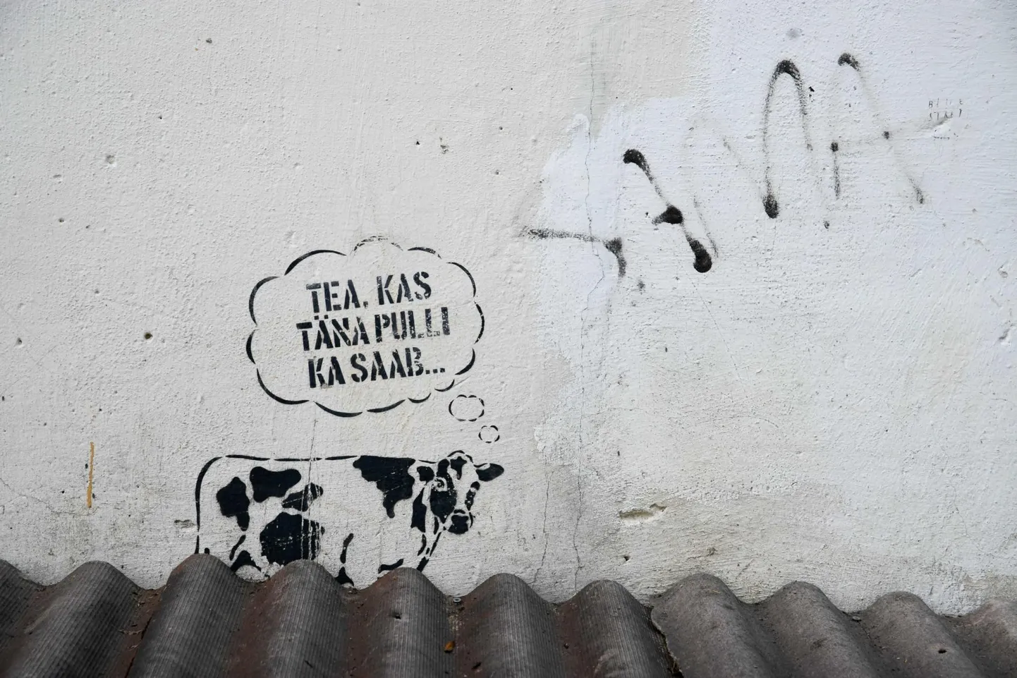 Martin Nõmm arvab, et huumor on tunnetuslik kunst ja kõik on nagu alati suhteline.