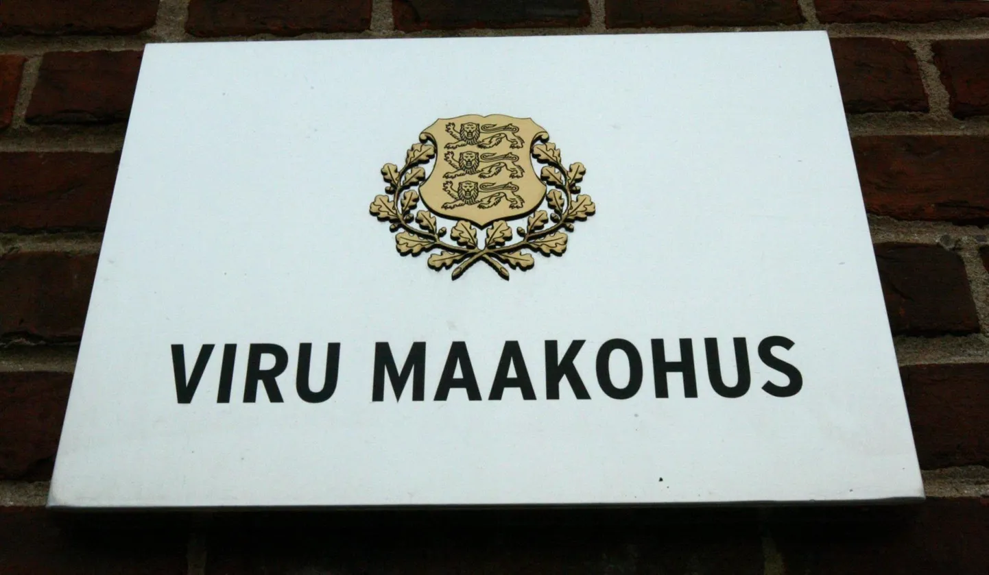 Viru maakohus mõistis kolmapäeval jõustunud otsusega vangistuse kahele mehele, kes käitlesid lõhkeainet, lõhkeseadeldisi ja laskemoona. Foto on illustratiivne.