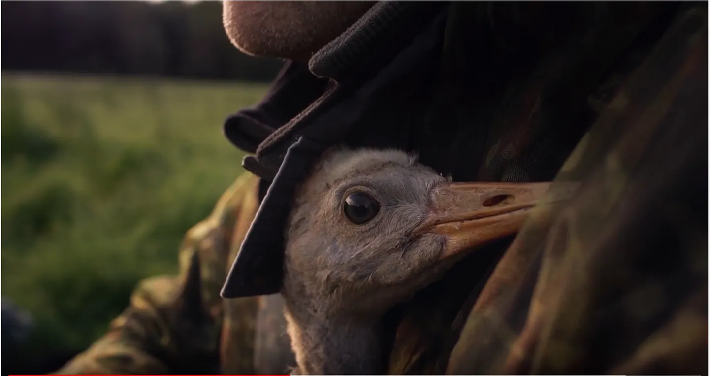 Film «Ahja 5» räägib sookure teekonnast Etioopiasse.
