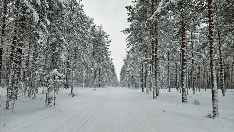 Nagu talvine muinasjutt - selline nägi Alutaguse maratoni raja üks lõikudest välja  esmaspäeval, 3. veebruaril.