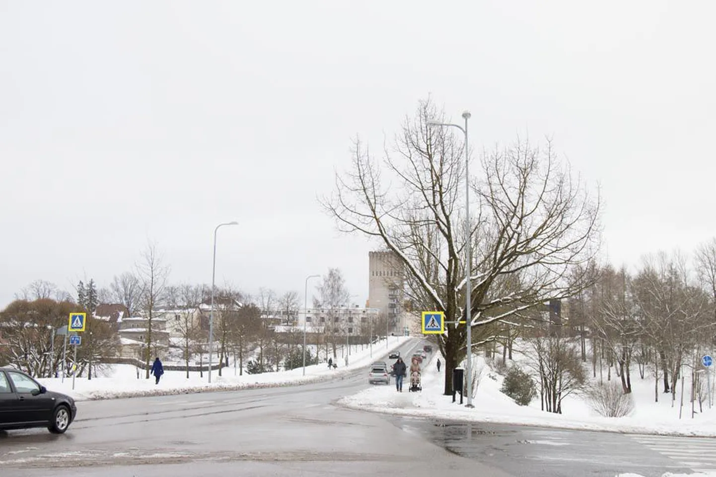 Valuoja orgu ja Paala järve ümbritsevat kergliiklusteed eraldab praegu viadukt. Tunneli kaudu saaksid jalakäijad, ratturid ja talvel ka suusatajad ühelt poolt teise liikuda ilma sõiduteed ületamata.