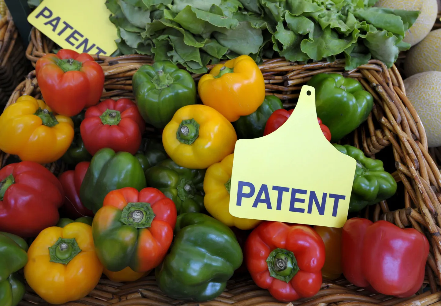 Patent.