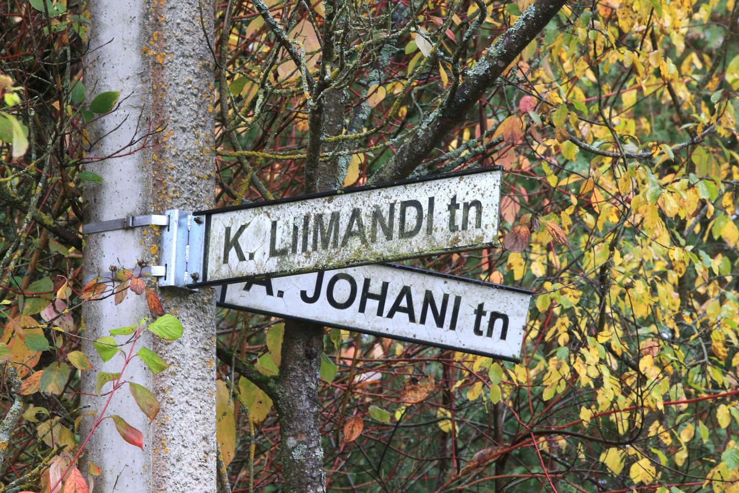 Erakonna Eesti 200 ettepanekul arutab Tartu volikogu K. Liimandi ja A. Johani tänav ümbernimetamist.