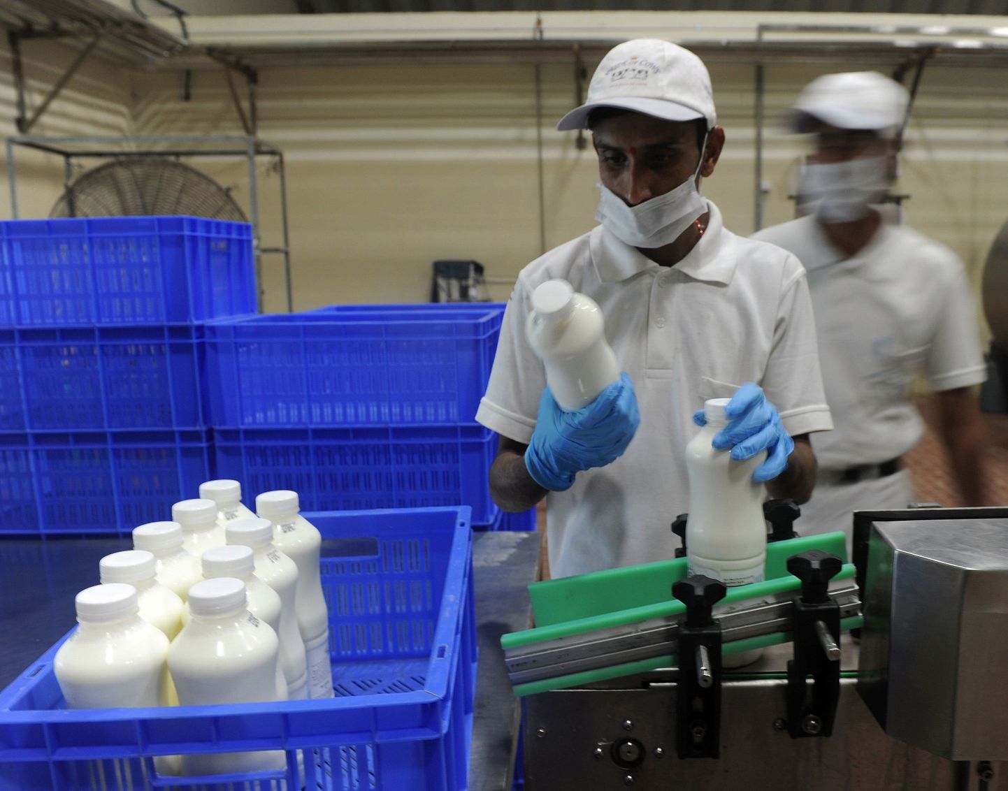 India piimafarmi töötaja