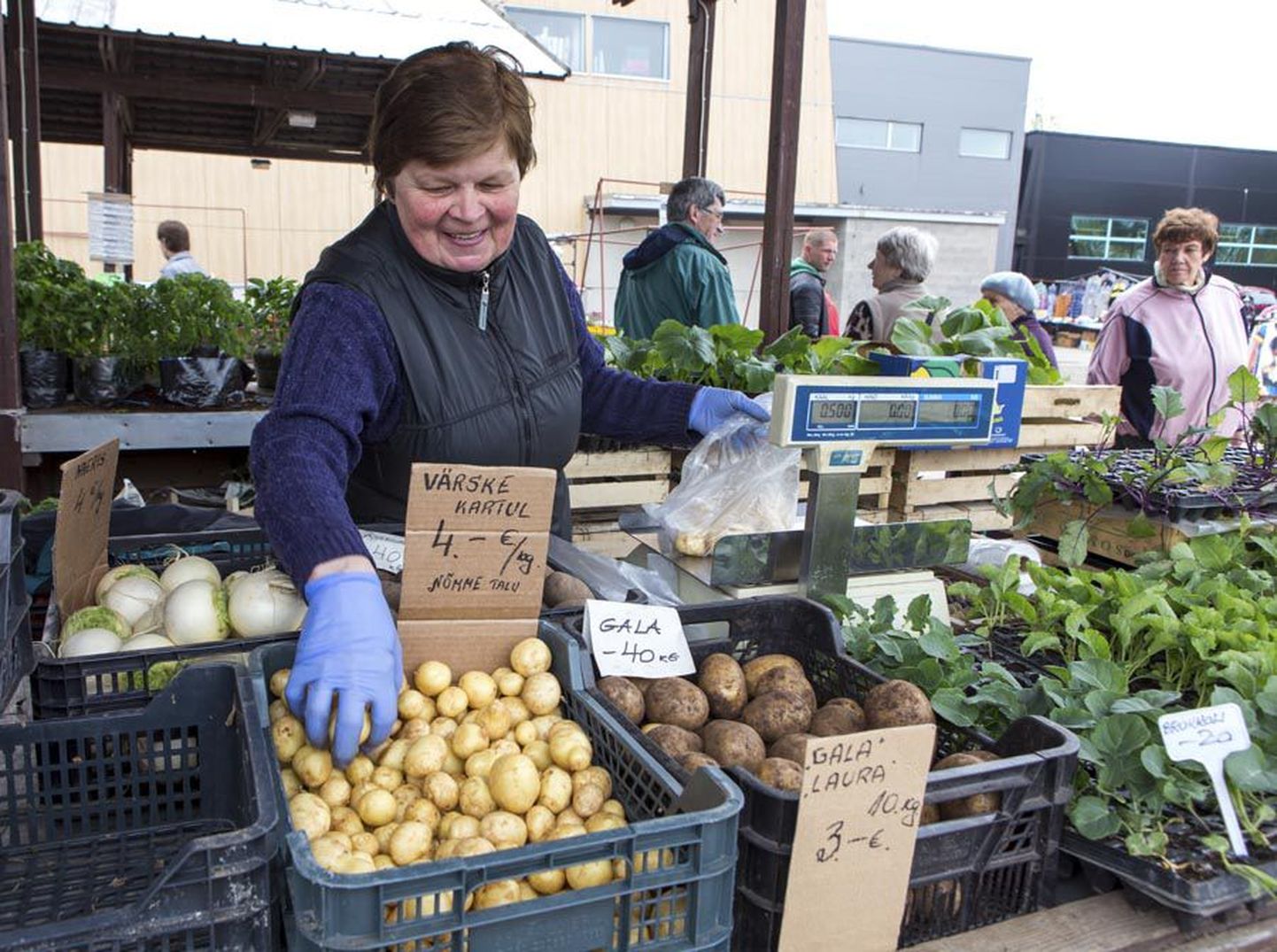 Malle Tõnisson oli kolmapäeval Viljandi turul ainuke kodumaist värsket kartulit pakkuv müüja.