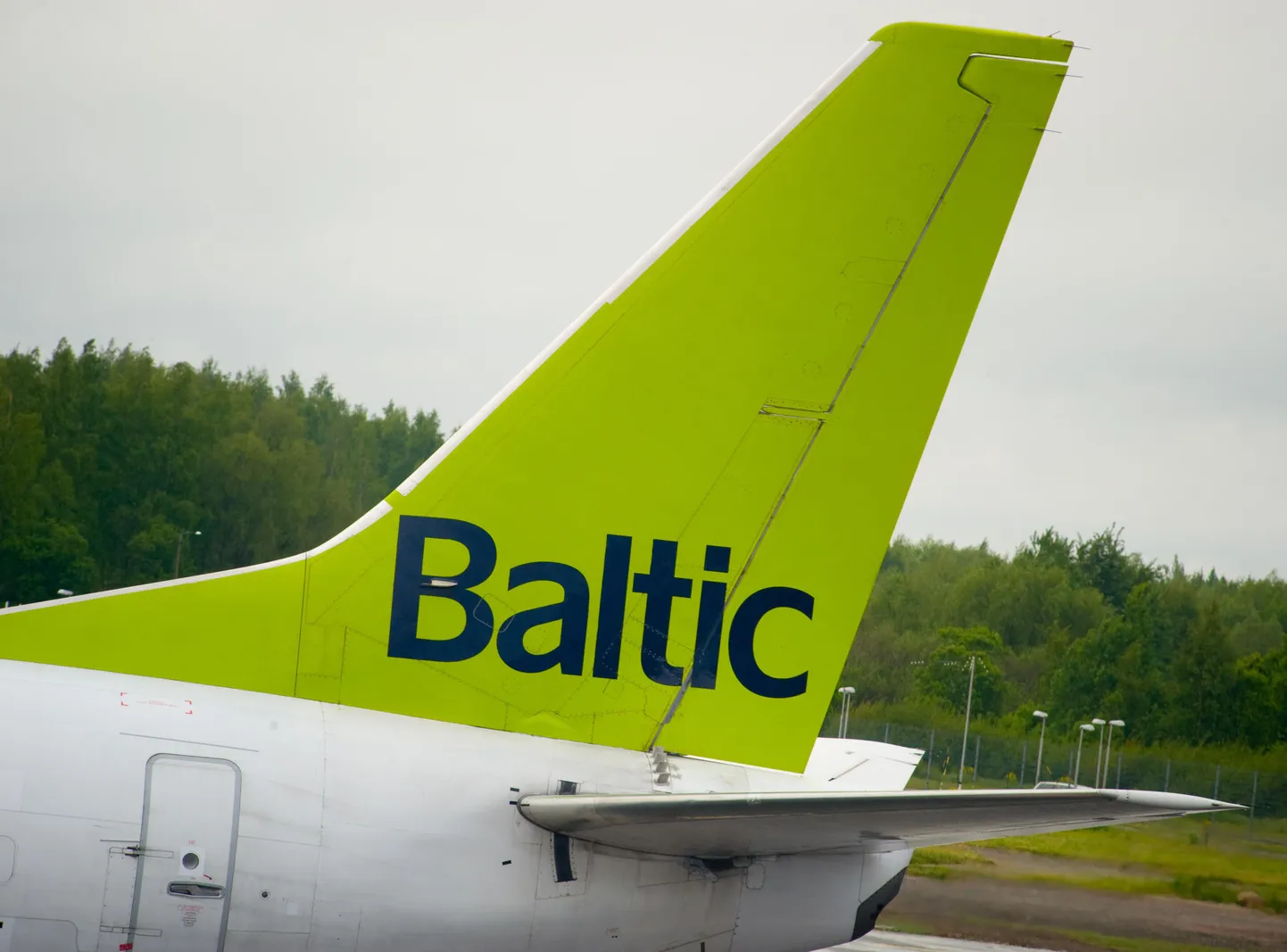Ari Baltic