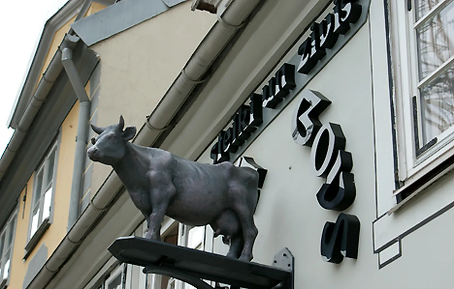 Raksta foto