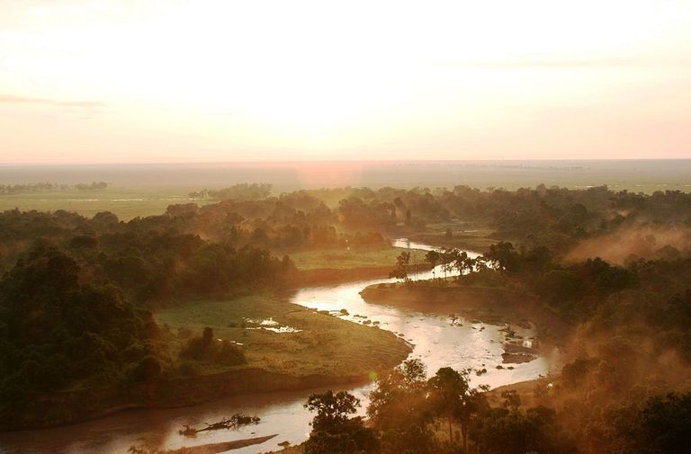 Serengeti looduskaitseala