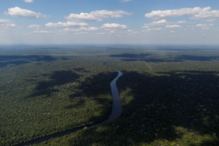 Amazonase jõe üks lisajõgedest