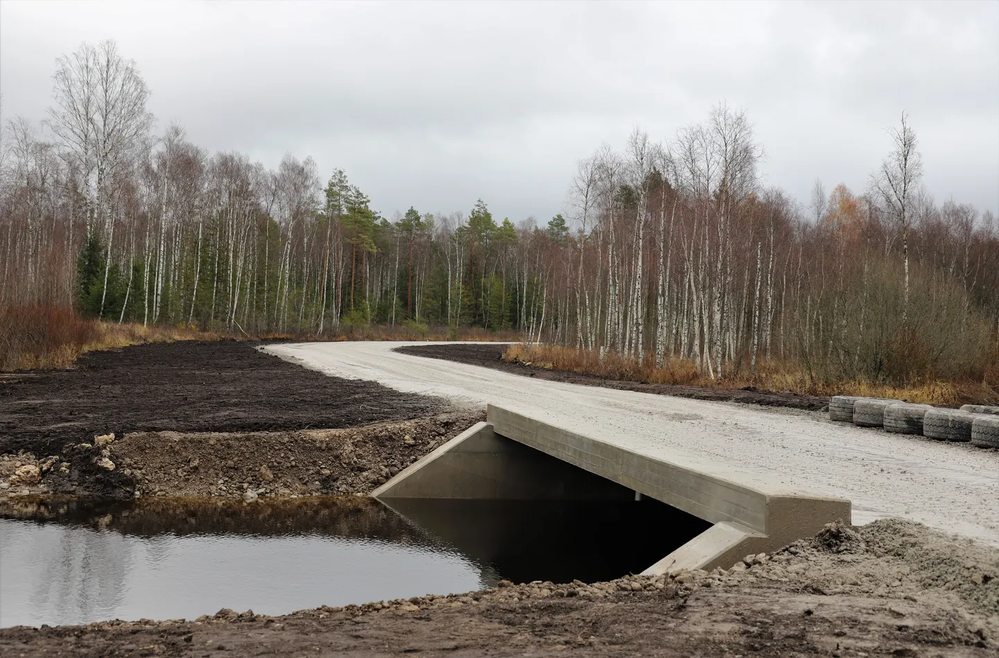 Ehitustööd Rabasaare linnaku ehitamiseks edenevad jõudsalt, valminud on juba sild üle Soodla jõe ja mõned teed.