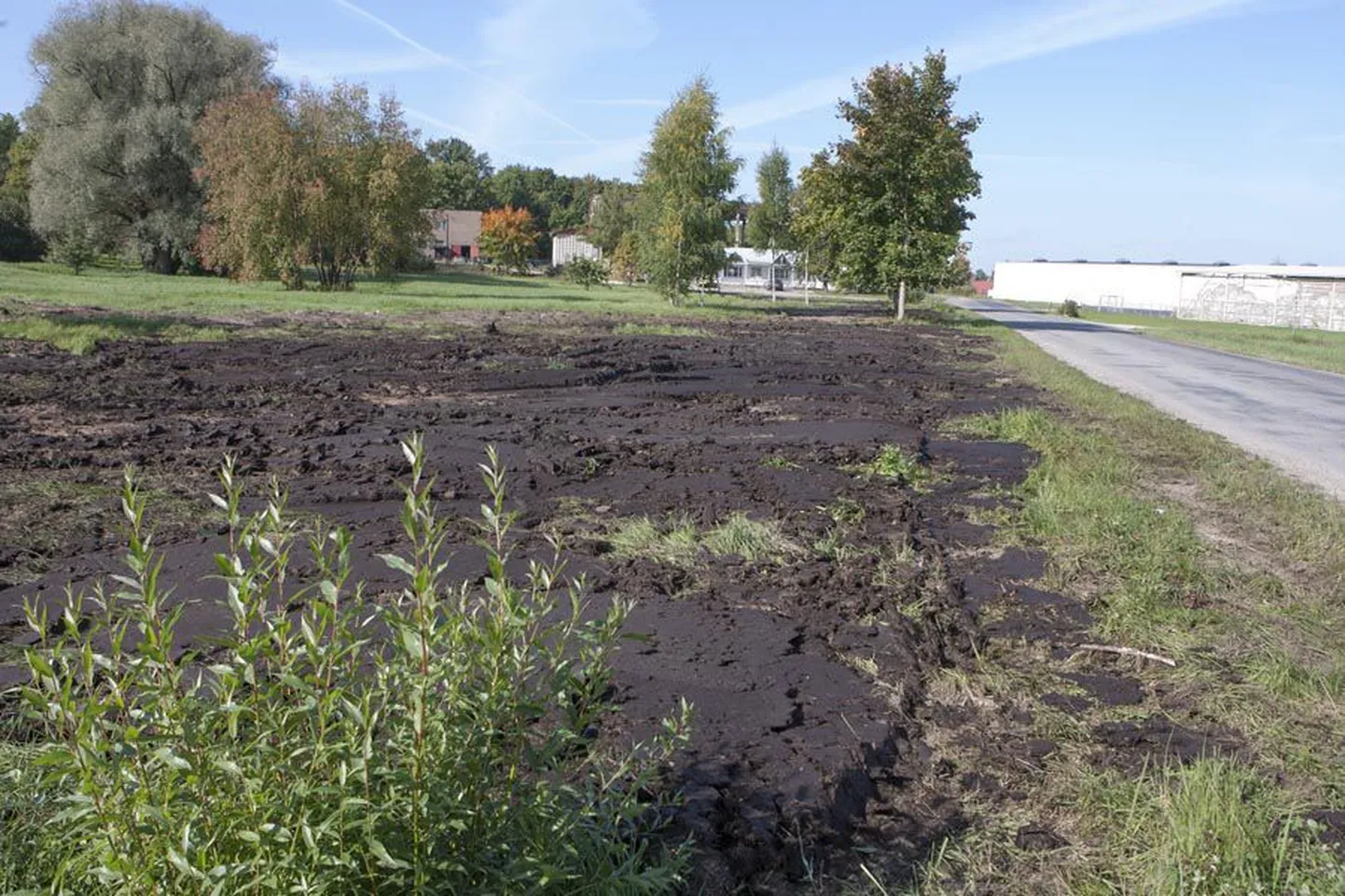 Veevärk sai loa ladestada kompostitud reoveesetted Metsküla tee ning Raua ja Piiri tänava juurde.
