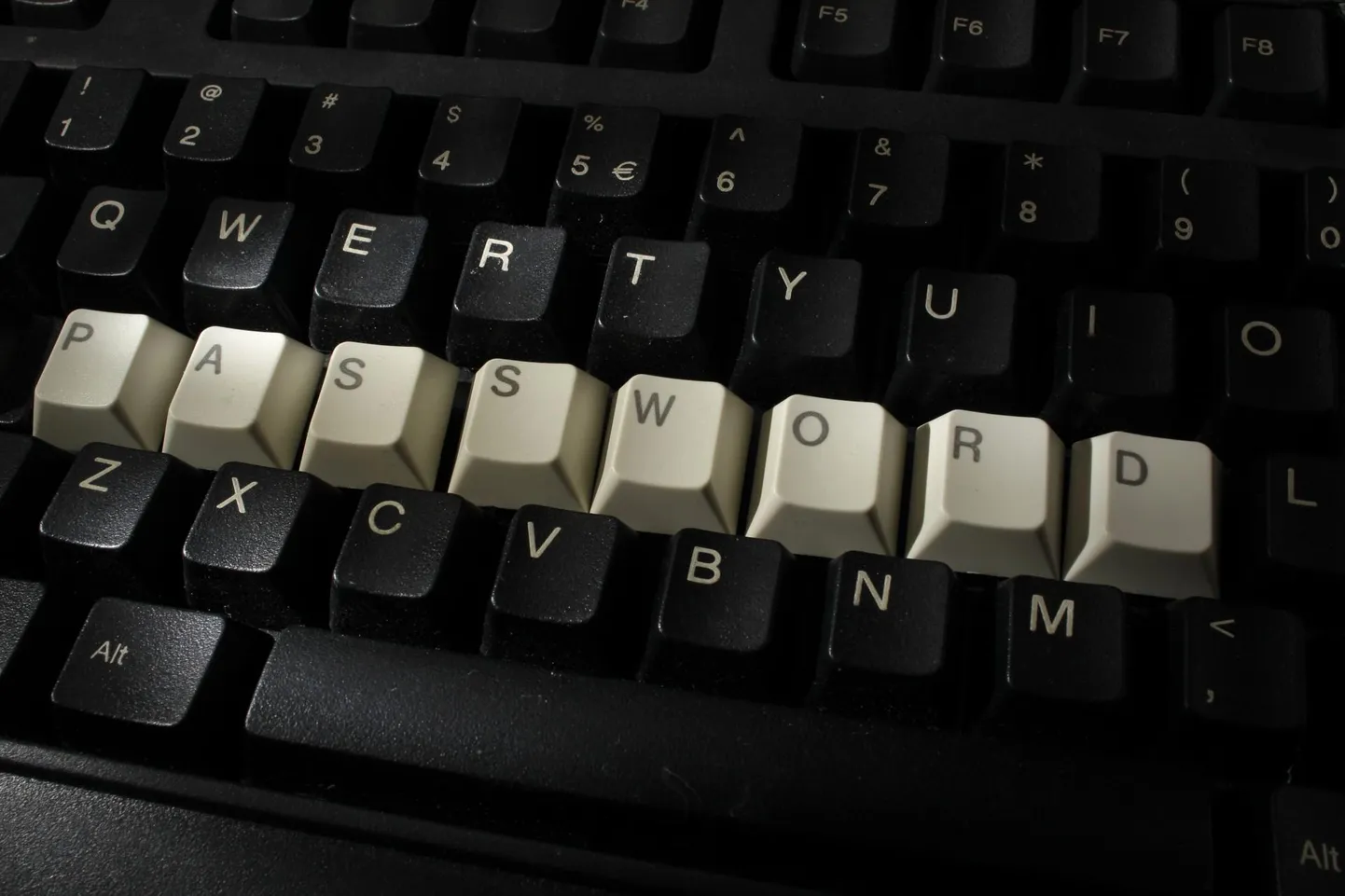 «Password», «admin», «Pornhub123», «kapsas»&nbsp;või «123456»&nbsp;pole kõige nutikamad salasõnad, sest häkkerid murravad need lahti mõne hetkega.