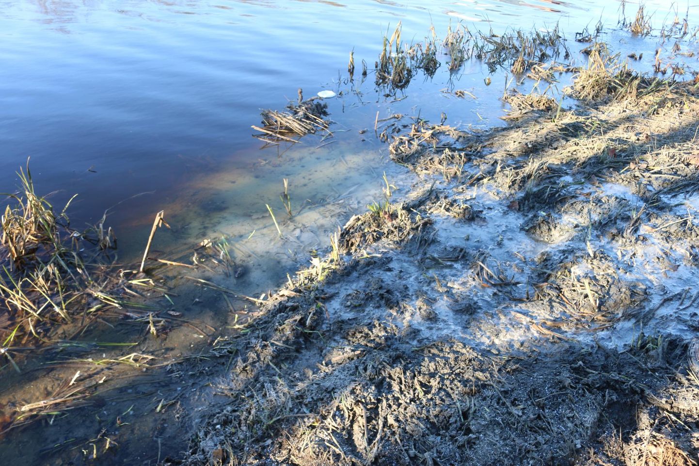 Загрязнение реки Выханду.