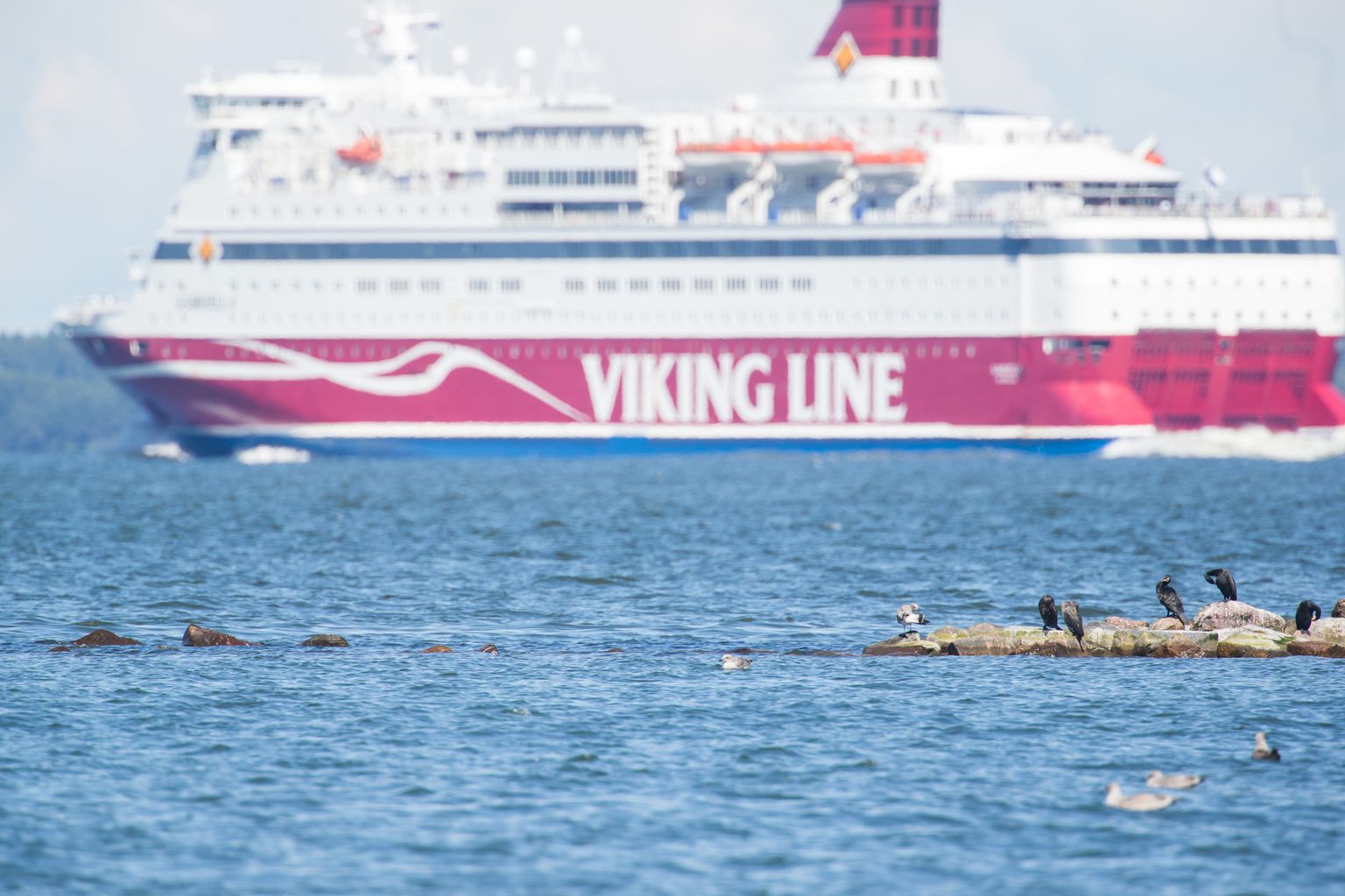 Viking Line'i laev.