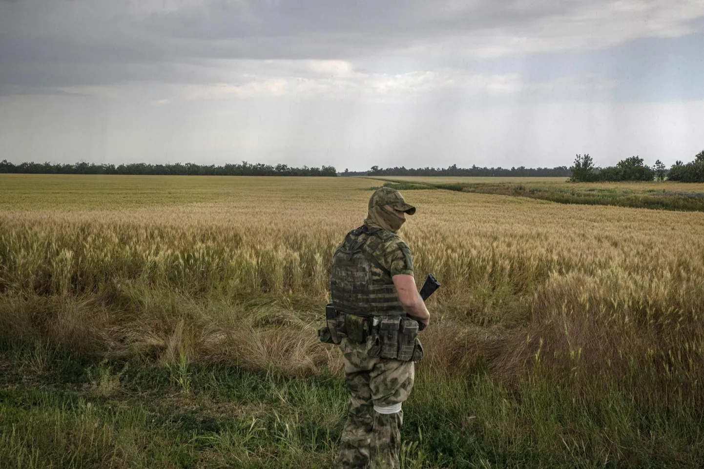 Vene sõdur Ukraina viljapõllul.