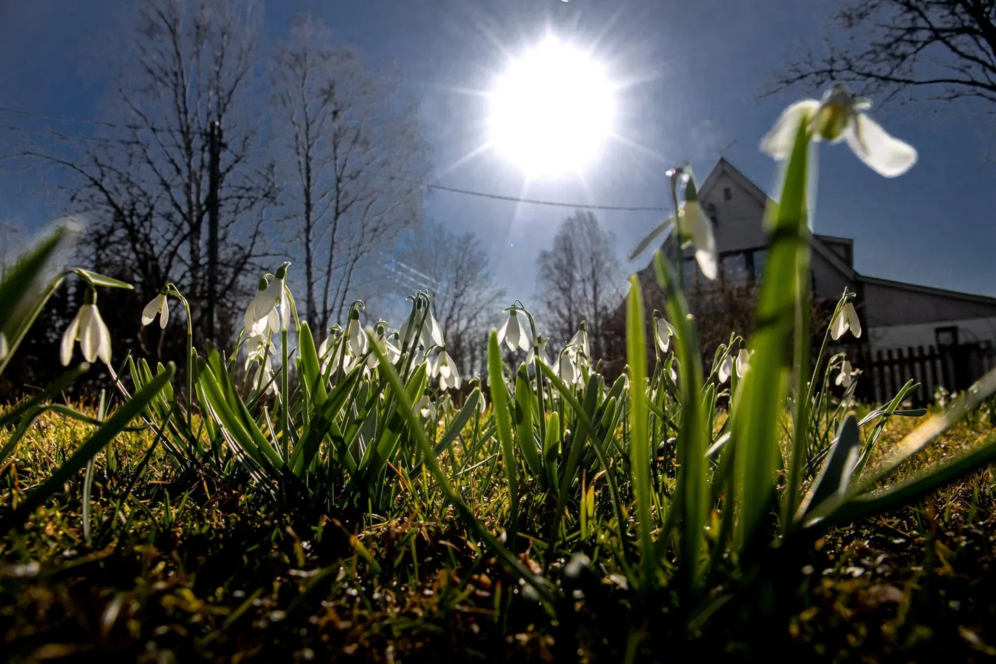 Eile tõusis suvepealinnas õhutemperatuur üle kaheksa soojakraadi.