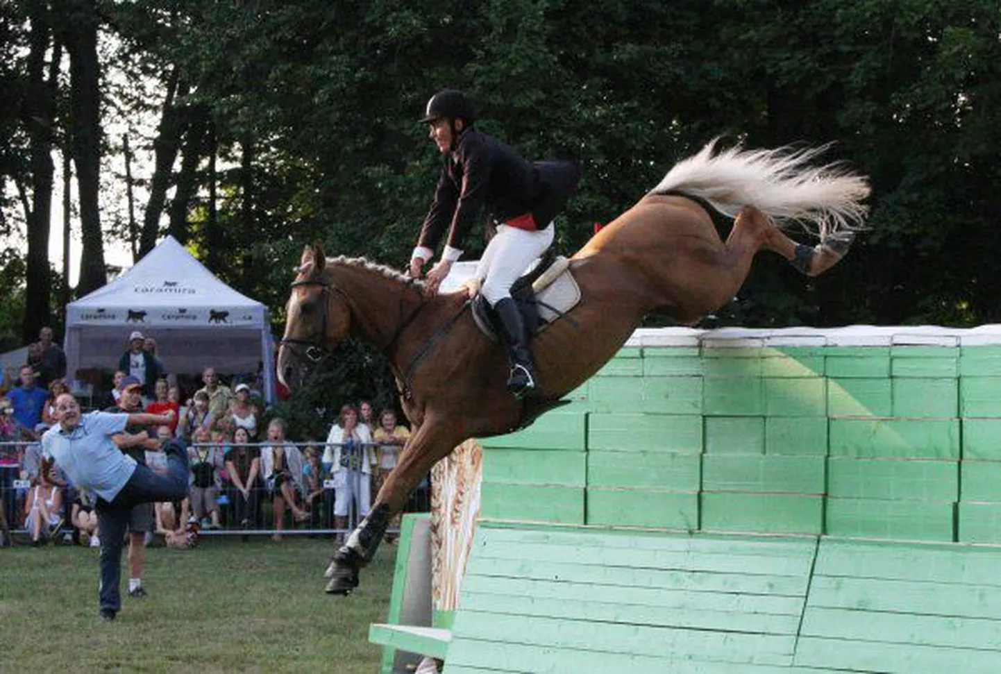 Luunja Karikas 2010. Andrus Kallaste hobusel Opaal.