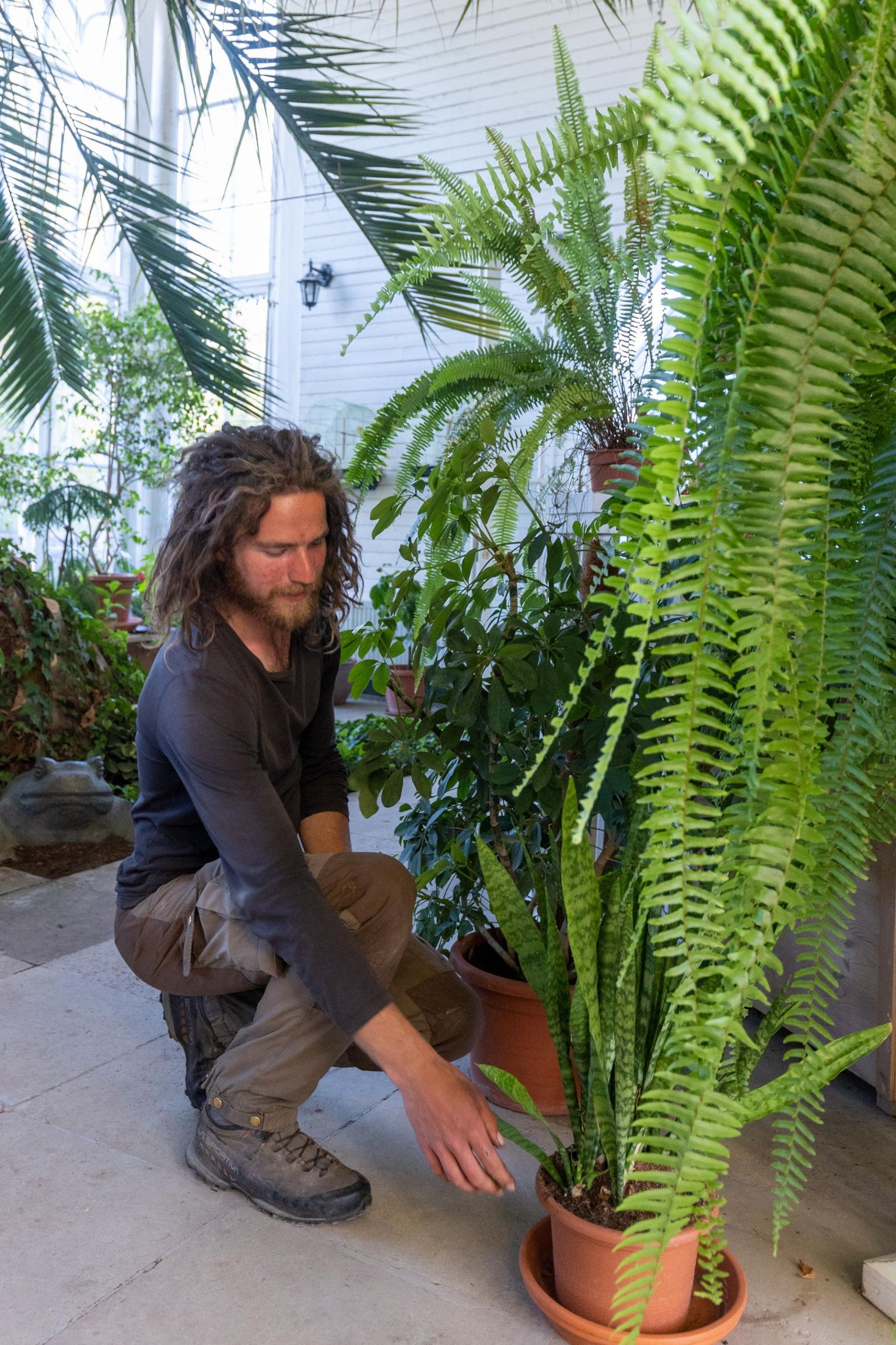 Palmse mõisa kärner Jaak Kaasiku aitab taastada mõisa omaaegset taimeaeda.