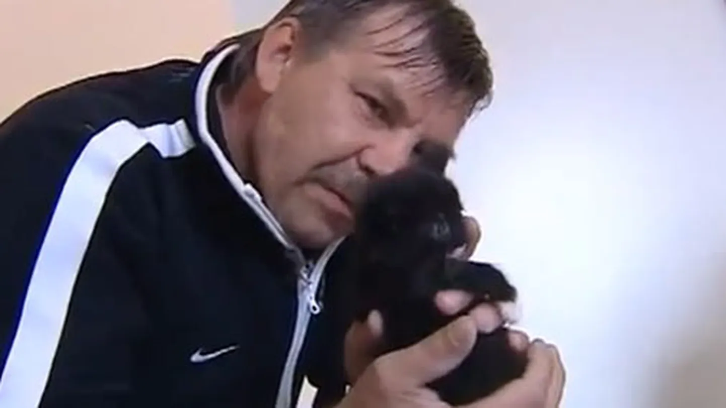 Raksta foto