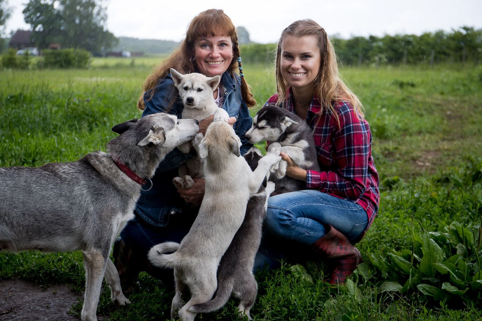 Ema Helle ning tütar Mariin Kaljula on võtnud kelgukoerte kasvatamise ja treenimise oma südameasjaks.