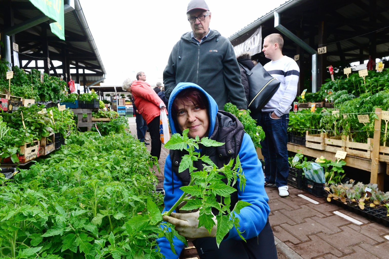 Kuusiku talu perenaine Maret Kivi on Tartu avaturule kaasa võtnud tugevad tomatitaimed, mil juba õienupudki küljes, ning loodab, et enamik neist ka algaval nädalavahetusel kaubaks läheb.