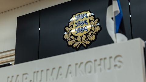 KOPSAKAS KAHJUNÕUE ⟩ «Ma sõitsin tema jalast üle...» Ülekäig