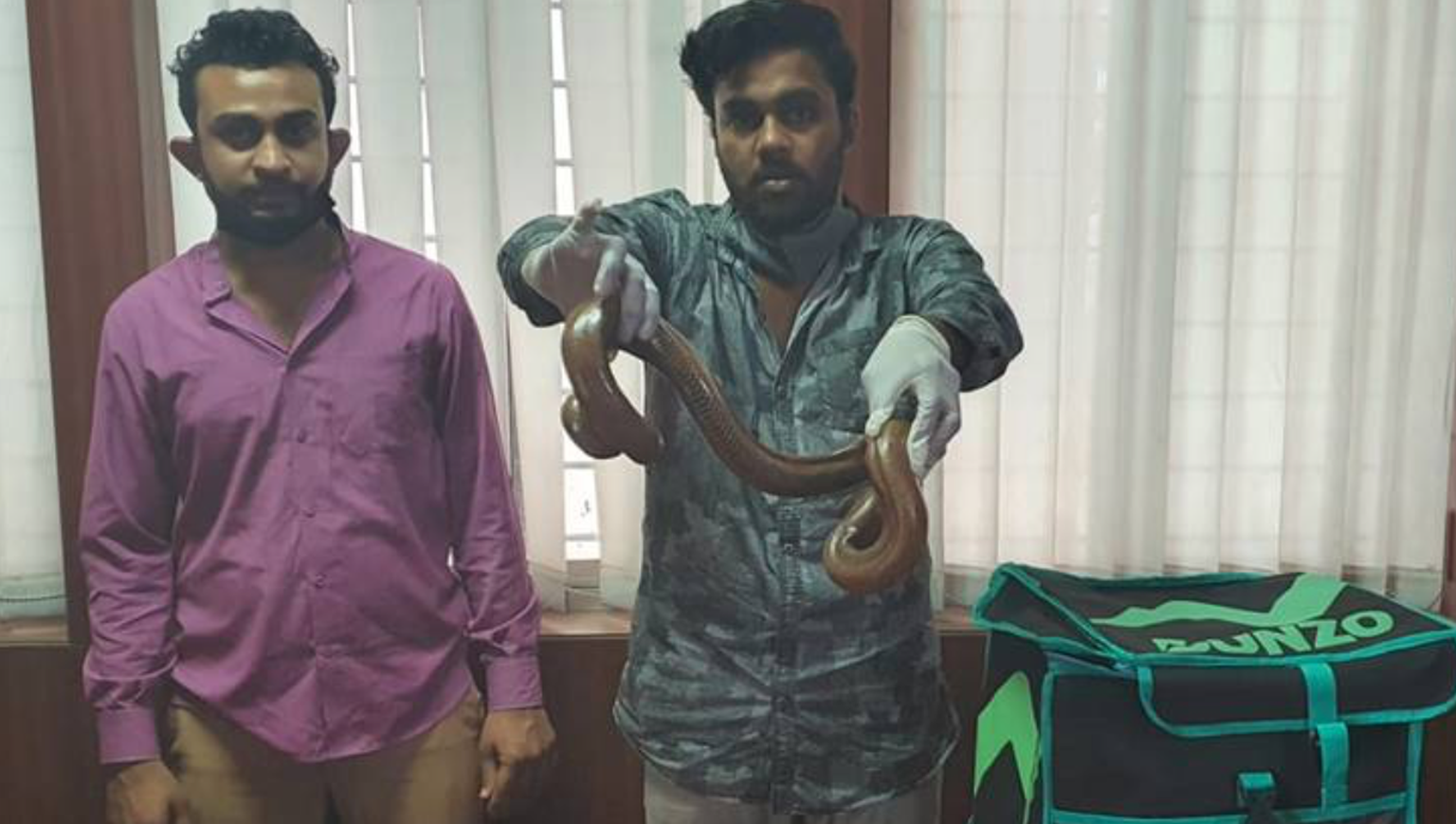 Indias jäid kaks meest vahele, kui üritasid kahepäise mao müügiga hunniku raha teenida.