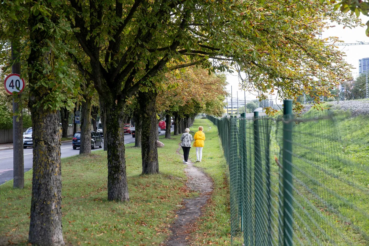 Tehnika tänava ääres aiaga piiratud raudtee ohutsooni ja kastaniallee vahel rattatee ja terviseraja jaoks ülearu palju ruumi ei ole.

 