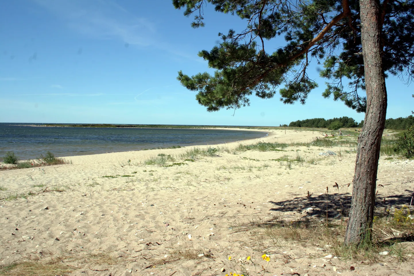 Matsi rand Pärnumaal Varbla vallas.