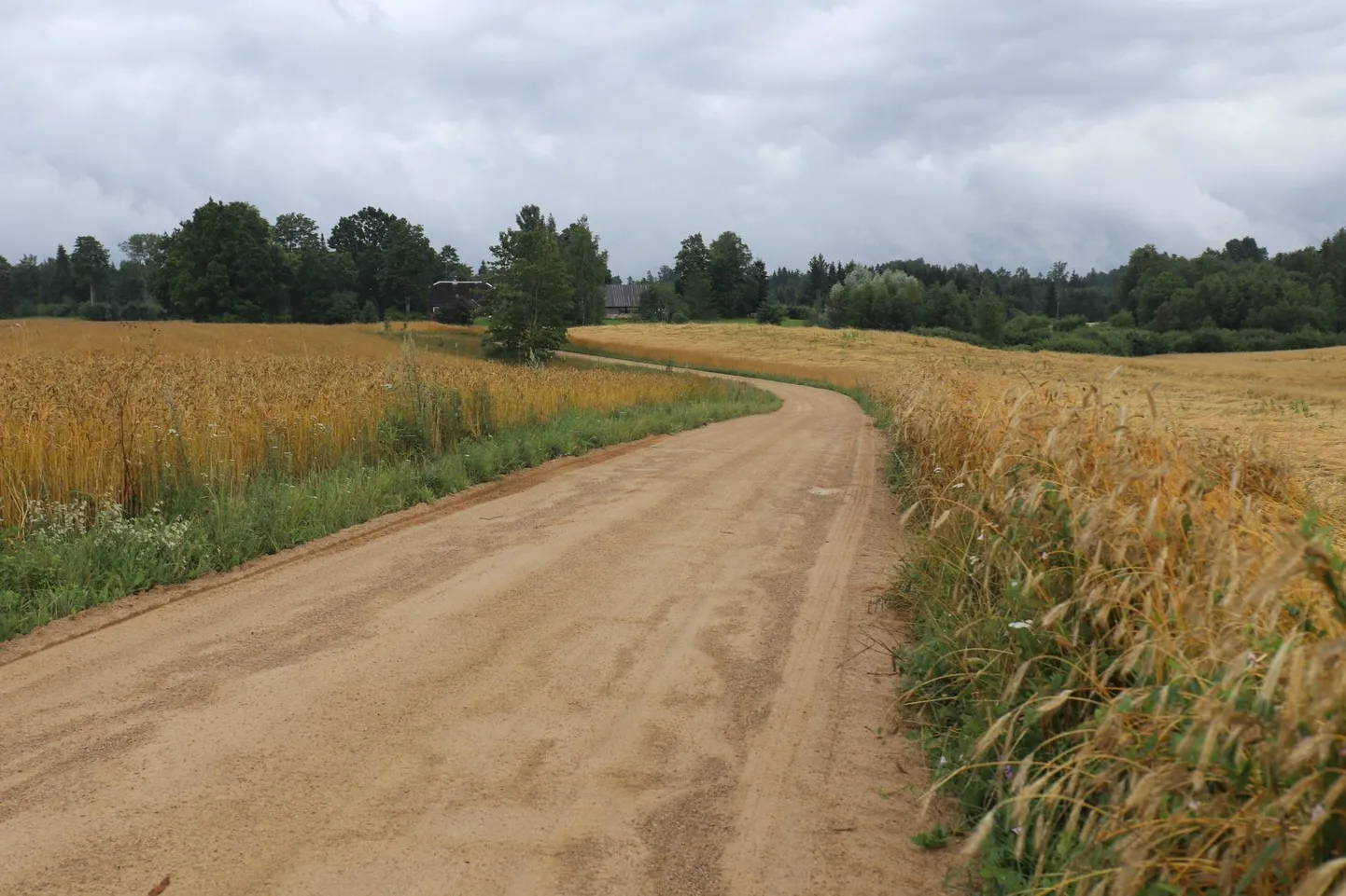 Rally Estonia kulul veeti Põlvamaale Karste ja Kaagvere vahelise külatee katteks paks kruusakiht. FOTOD: Ülle Harju