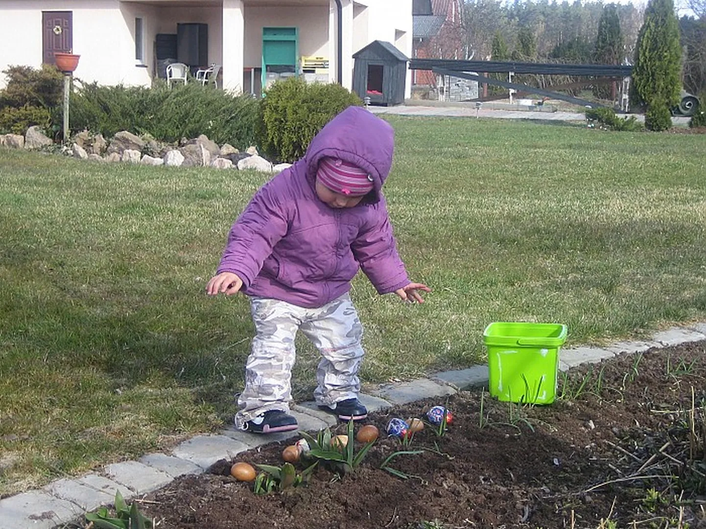 Raksta foto