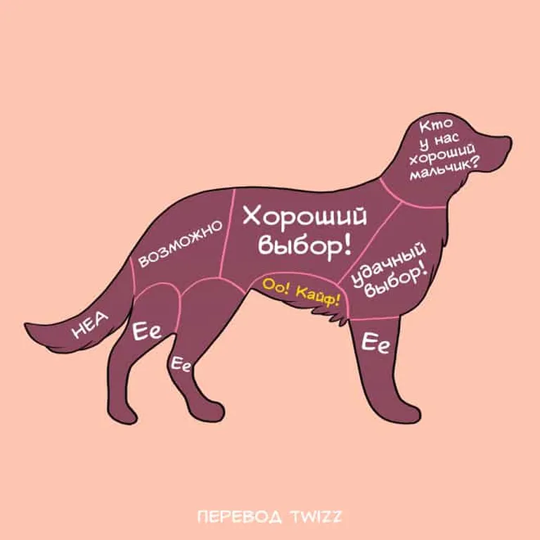 Фото статьи