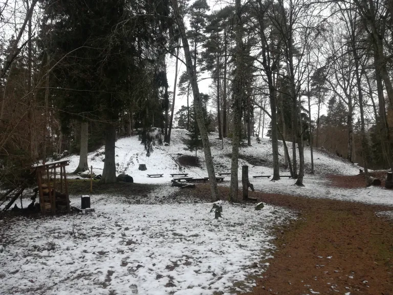 Raksta foto